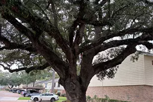 14515 Wunderlich Dr, Houston, TX 77069 - Photo 34