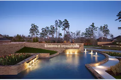 31964 Retama Ranch Lane, Spring, TX 77386 - Photo 12