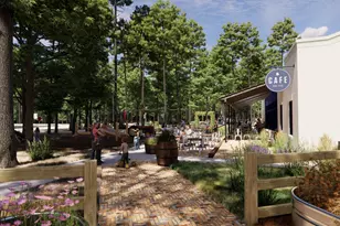 9049 Babbling Brook Dr, Montgomery, TX 77316 - Photo 4