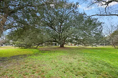 9911 Ironwood Lane, Fairchilds, TX 77469 - Photo 6