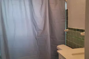 1920 Binz St, Houston, TX 77004 - Photo 12