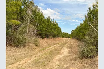 00 Fm 1746, Spurger, TX 77660 - Photo 6