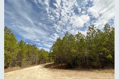 00 Fm 1746, Spurger, TX 77660 - Photo 14