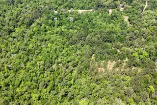 0 Pr 2210, Buffalo, TX 75831 - Photo 1