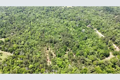 0 Pr 2210, Buffalo, TX 75831 - Photo 12