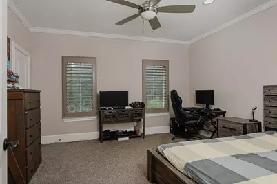 3 Black Cormorant Place, The Woodlands, TX 77380 - Photo 22