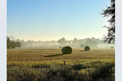 1408 Private Road 131, Centerville, TX 75833 - Photo 6