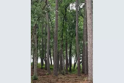 1408 Private Road 131, Centerville, TX 75833 - Photo 12