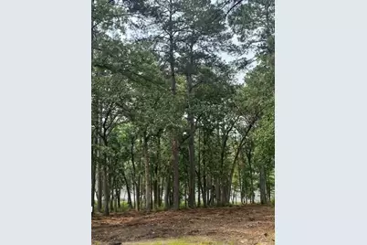 1408 Private Road 131, Centerville, TX 75833 - Photo 10