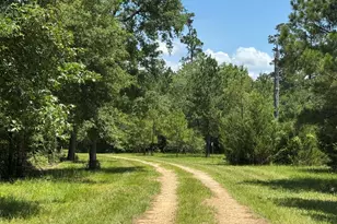 729 Centerhill Cemetery Rd, Crockett, TX 75835 - Photo 28