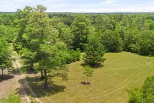 729 Centerhill Cemetery Rd, Crockett, TX 75835 - Photo 34