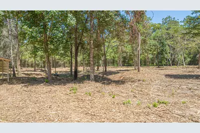 230 Deane Drive, Livingston, TX 77351 - Photo 6