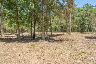 230 Deane Dr, Livingston, TX 77351 - Photo 6