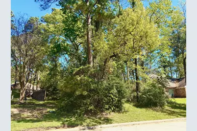 3015 Chaucer Drive, Montgomery, TX 77356 - Photo 1