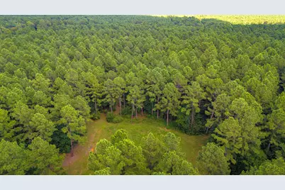 45 Acres Fm 229, Crockett, TX 75835 - Photo 8