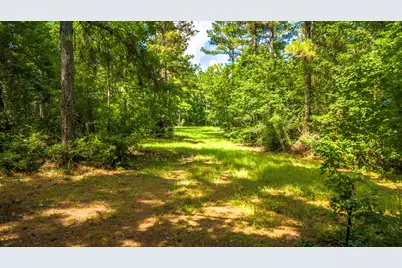 45 Acres Fm 229, Crockett, TX 75835 - Photo 1