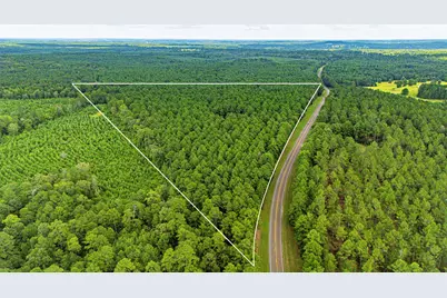 45 Acres Fm 229, Crockett, TX 75835 - Photo 4