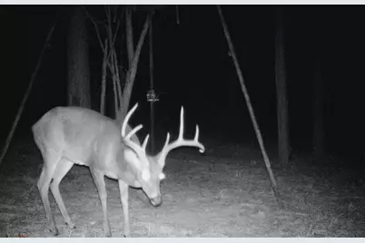 45 Acres Fm 229, Crockett, TX 75835 - Photo 14