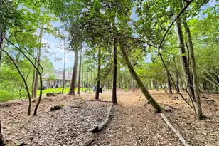 78 E Stockbridge Landing Circle, The Woodlands, TX 77382 - Photo 36