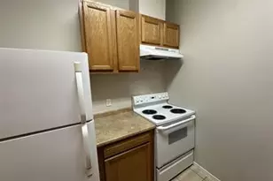 406 Hawthorne St St, Houston, TX 77006 - Photo 4
