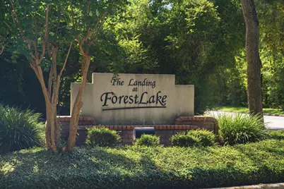 96 E Lakeridge Drive, The Woodlands, TX 77381 - Photo 40
