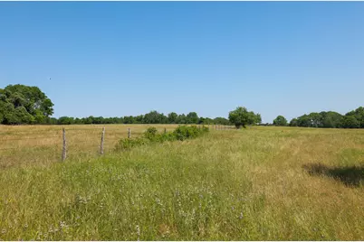Tract #8 Cr 305 Road, Navasota, TX 77868 - Photo 16