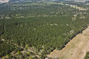 214 Hunters Hill Rd, Oakhurst, TX 77359 - Photo 6