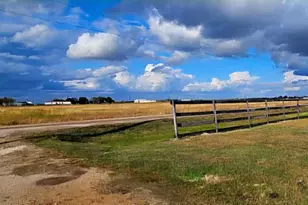 12025 McFarlane Rd, Beasley, TX 77417 - Photo 4