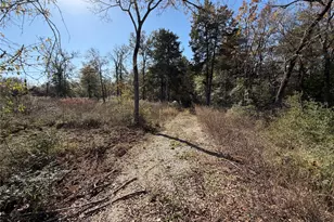 Lot 34 Cr 389, Jewett, TX 75846 - Photo 6