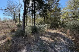 Lot 34 Cr 389, Jewett, TX 75846 - Photo 8