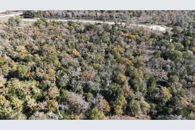 Lot 34 Cr 389, Jewett, TX 75846 - Photo 30