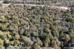 Lot 34 Cr 389, Jewett, TX 75846 - Photo 30