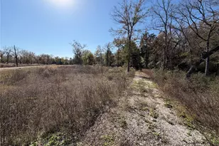 Lot 34 Cr 389, Jewett, TX 75846 - Photo 4