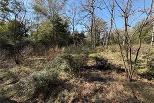 Lot 34 Cr 389, Jewett, TX 75846 - Photo 18