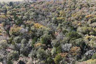 Lot 34 Cr 389, Jewett, TX 75846 - Photo 24