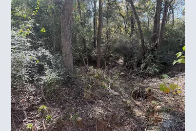 Lot 34 Cr 389, Jewett, TX 75846 - Photo 10