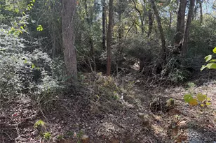 Lot 34 Cr 389, Jewett, TX 75846 - Photo 10