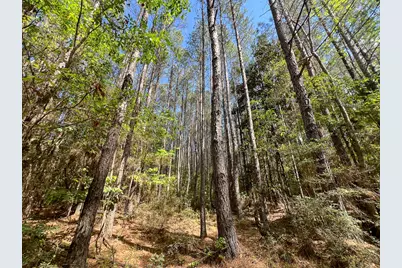 0 Cr 4525, Warren, TX 77664 - Photo 10