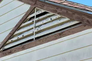 913 Southampton St, Angleton, TX 77515 - Photo 6