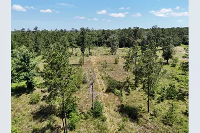 Tbd Magnolia Park, Conroe, TX 77306 - Photo 14