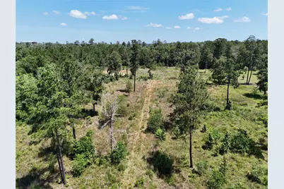Tbd Magnolia Park, Conroe, TX 77306 - Photo 8