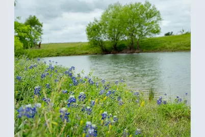 1716 A County Road 469, Coupland, TX 78615 - Photo 4