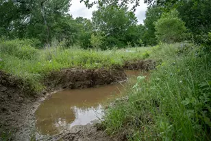 1716 A County Road 469, Coupland, TX 78615 - Photo 6