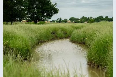 1716 A County Road 469, Coupland, TX 78615 - Photo 22
