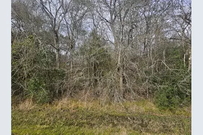 29929 Fm 1301 Road, West Columbia, TX 77486 - Photo 8