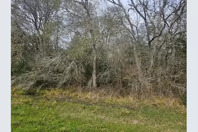 29929 Fm 1301 Road, West Columbia, TX 77486 - Photo 12