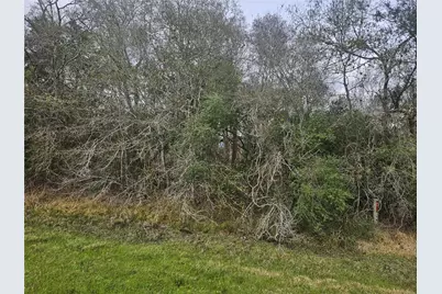 29929 Fm 1301 Road, West Columbia, TX 77486 - Photo 10