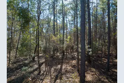 1 O'Quinn Road, Pollok, TX 75969 - Photo 28