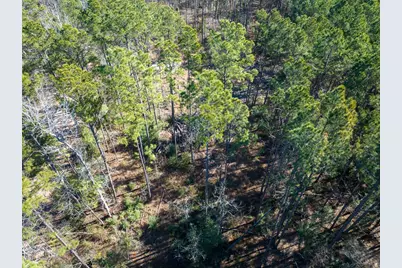 1 O'Quinn Road, Pollok, TX 75969 - Photo 14