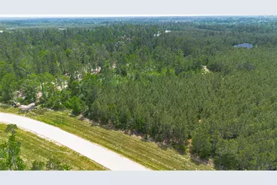 12050 High Branch Way, Willis, TX 77378 - Photo 10